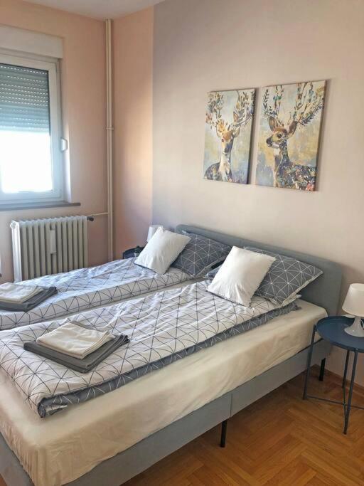 Quince Apartment-Free Parking-City Center Bělehrad Exteriér fotografie